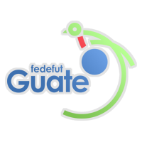 GUA Liga Naciona lPlay-off