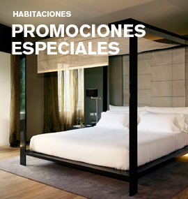 Promociones especiales | Habitaciones | Hotel de Lujo Barcelona